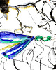 grafiki i ilustracje Dragonfly 4 - grafika 2