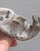 broszki Broszka ceramiczna Foczka  2