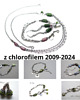 srebrne naszyjniki Z chlorofilem w tle  -naszyjnik 6