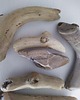 dodatki - różne Drift wood 4