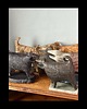 figurki i rzeźby Pies ceramiczny 8