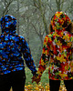 bluzy męskie Męska Bluza Expres Zamek DR.CROW Blue Leaves 2