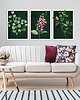 obrazy OBRAZ NA PŁÓTNIE -ROŚLINKI 3 części 50x70cm 1