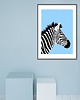 obrazy i plakaty do pokoju dziecięcego Plakat Zebra 3