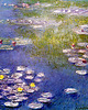magnesy Nenufary w Giverny - C. Monet - magnes 1