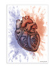 puzzle dla dzieci Puzzle Anatomiczne 1