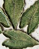 patery i talerze Liść alokazji - ceramiczny talerzyk/patera 2
