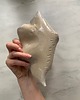 pojemniki na biżuterię Podstawka na Biżuterię Palo Santo Ceramiczna Muszelka Muszla Handpainted 4