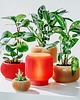 dekoracje świetlne Lampa 71L01.RED / bezprzewodowa / dotykowa 2