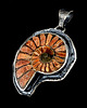 wisiory Amonit i sunstone 2