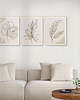 plakaty Zestaw 3 stylowych plakatów w stylu Boho, rośliny, monstera, line art. 2