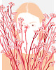 grafiki i ilustracje In Bloom 1