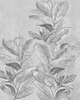 tapety i naklejki ścienne Fototapeta botaniczna Liście (szare) 5
