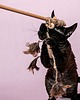 Zabawki dla zwierząt Wędka WILD CAT z łapaczem snów DREAMER 4