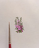 obrazy Malwy kwiaty , Miniatura  ilustracja botaniczna 3