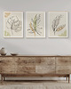 plakaty Zestaw 3 stylowych plakatów w stylu Boho, rośliny, monstera, line art. 3