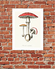 plakaty PLAKAT  ILUSTRACJA z grzyb muchomor vintage 1