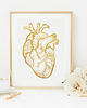 plakaty Plakat Anatomiczne Serce, Złota Folia  1