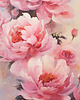 obrazy Kwiaty peonie - Obraz na płótnie - Druk, Blejtrama - Akwarela, Boho #23 1
