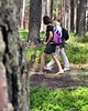 Warsztaty inne Leśny spacer uważności - edycja JESIEŃ 2