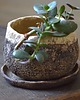 doniczki SPĘKANA ZIEMIA 3_doniczka ceramiczna 6