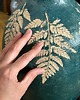 lampy stołowe Rzeźba ceramiczna z kolekcji Fern z funkcją lampy, lampa artystyczna 6
