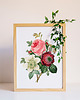 plakaty Plakat Vintage Flowers 2
