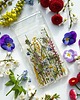 etui na telefon Etui na telefon- prawdziwe kolorowe kwiaty 1