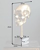 figurki i rzeźby Dekoracja rzeźba Czaszka Skull złota marmur 35cm 6