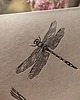 kalendarze i plannery Kalendarz BOTANICZNY letterpress z miedzią 2