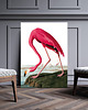 plakaty Plakat Flaming vintage 5
