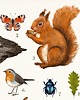 plakaty Plakat "W LESIE" 50 x 70 cm 3
