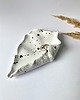 pojemniki na biżuterię Ceramiczna Muszla Dalmatyńczyk 2