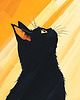 plakaty Plakat - Ciekawski kitek 2
