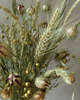 dodatki - różne Bukiet suszonych kwiatów, ok. 45 cm 2