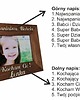 ramki na zdjęcia Ramka personalizowana dla Babci i Dziadka 2