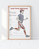plakaty Plakat ANATOMIA BIEGANIA 1