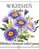 naszyjniki - inne Naszyjnik WRZESIEŃ szafir, aster 3