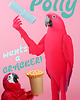 plakaty Plakat - Polly wants a cracker! 2