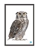 plakaty PLAKAT SOWA 70CM X 100CM (B1) 3