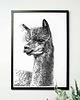 grafiki i ilustracje Lama 1