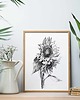 grafiki i ilustracje Słoneczniki 50x70 - grafika botaniczna 2