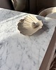 pojemniki na biżuterię Handmade Muszelka na Biżuterię Palo Santo Ceramiczna Beżowa 2