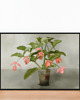 plakaty Plakat Fine Art giclee MEDINILLA 1