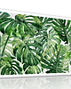 obrazy Obraz na płótnie LIŚCIE MONSTERA 80x120cm 3