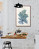 plakaty Plakat Glon Niebieski 2