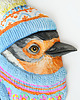 kolorowanki dla dzieci Portrait of a robin named Samuel 4
