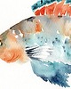 obrazy Oryginalna akwarela. Ryba 2