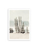 plakaty cactus vintage fotografia plakat 2