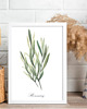 grafiki i ilustracje PLAKATY DO KUCHNI zioła botaniczne 1